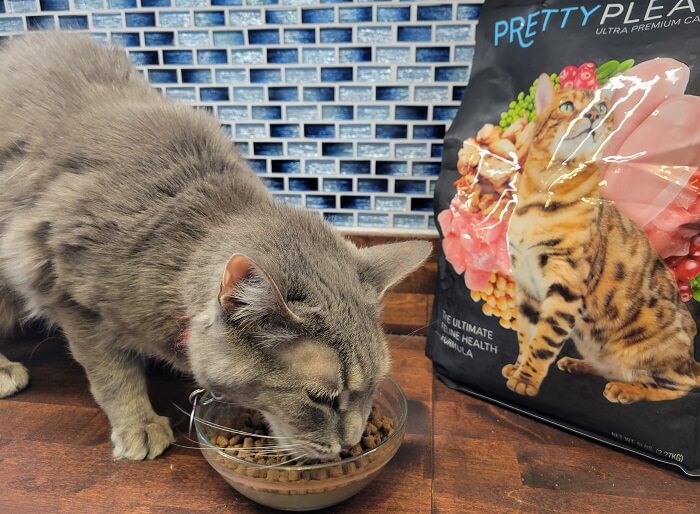 Unbiased Pretty Please Cat Food Review