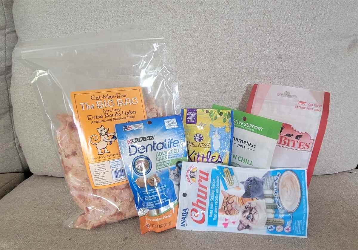 The 7 Best Cat Treats for Kittens