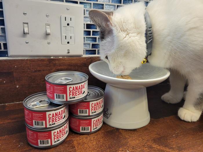 Unbiased Canada Fresh Cat Food Review In 2023