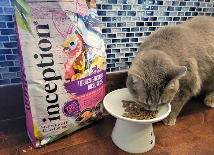 Unbiased Inception Cat Food Review In 2024