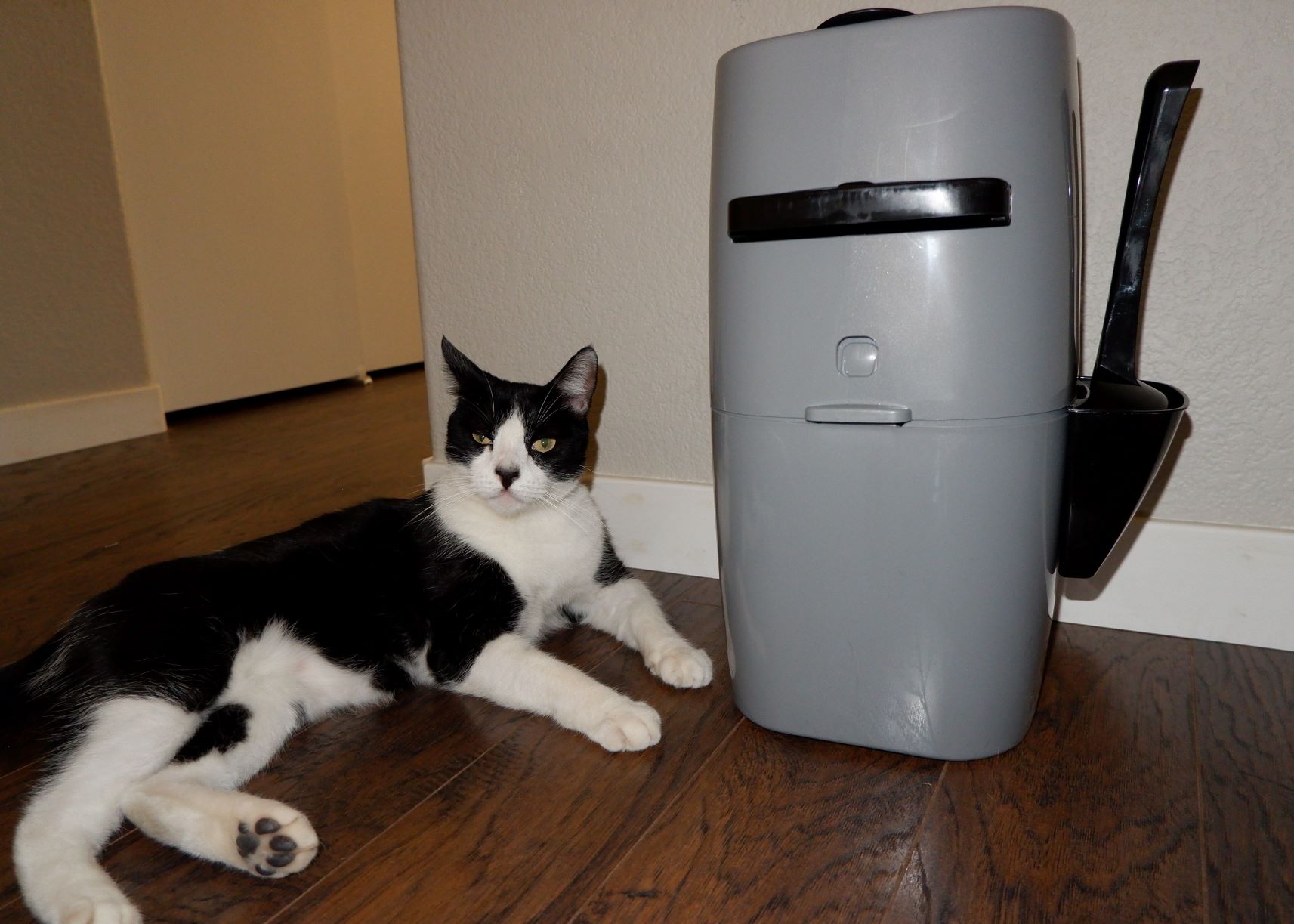 Litter Genie Pail Litter Disposal System Review