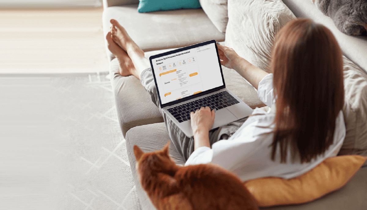 The Best Pet Insurance for Cats in 2024