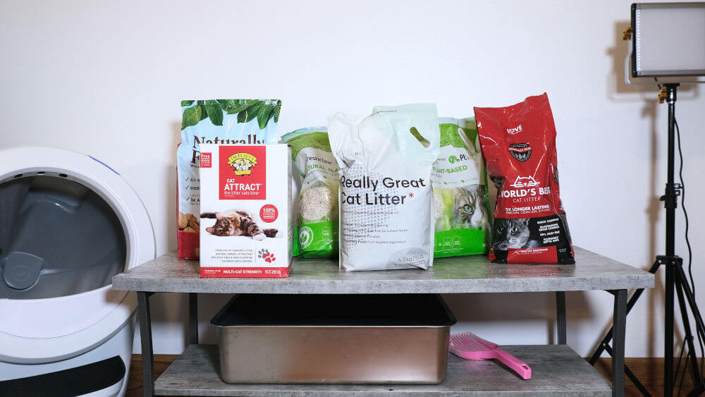 12 Best Cat Litters of 2024 Unbiased Review