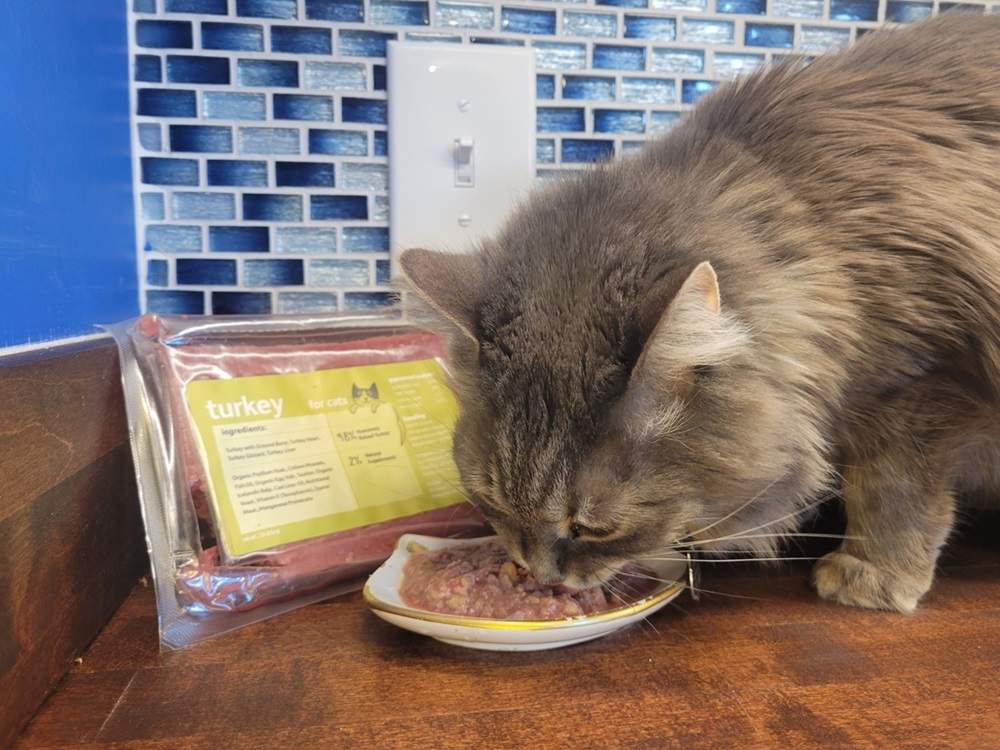 Unbiased Viva Raw Cat Food Review