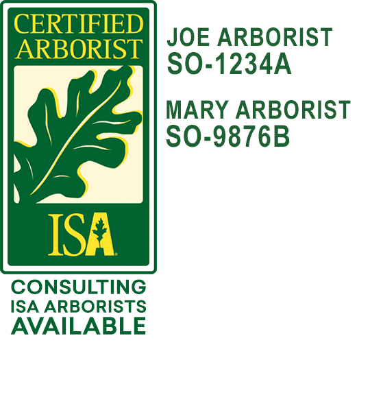 Certified Arborist Tree Service A New Era In Arborist Training