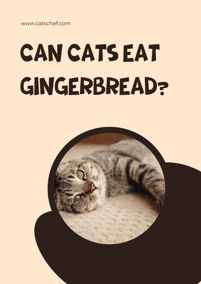 Can Cats Eat Gingerbread? Or Should They Approach It Gingerly?