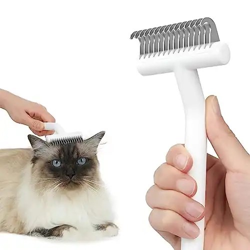 8 Best Brushes For Persian Cats To Give Your Cat A Spa Day