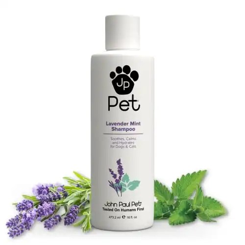 Clean Up Your Cat 10 Best Cat Shampoos For Bengal Cats