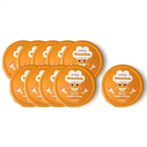 Our Top 9 Picks For The Best Cat Food For Gassy Cats