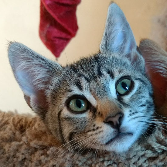 Our Sponsors Contact Us