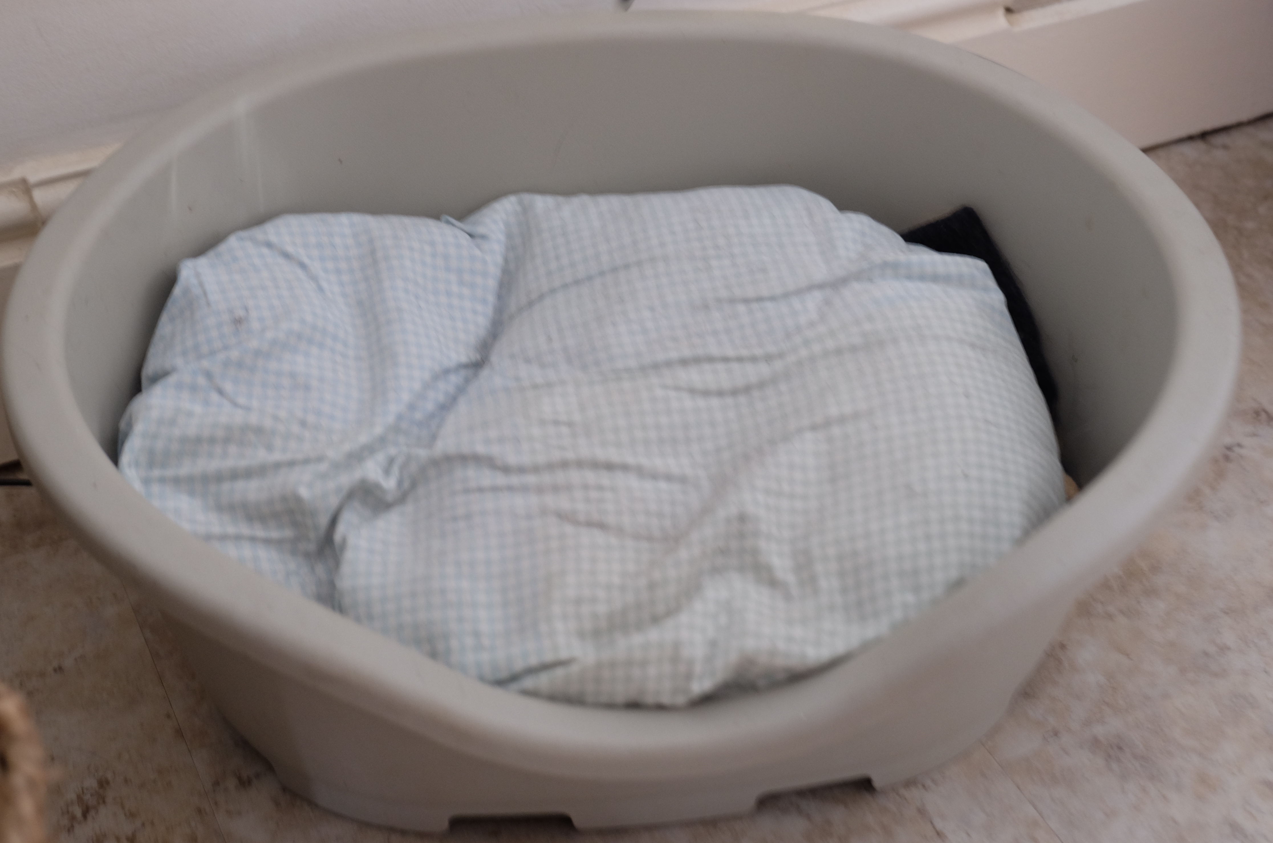 Bed hopping Isn't It Dinnertime Yet?