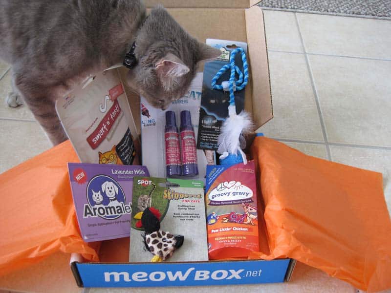 It's a MeowBox! Cats Herd You
