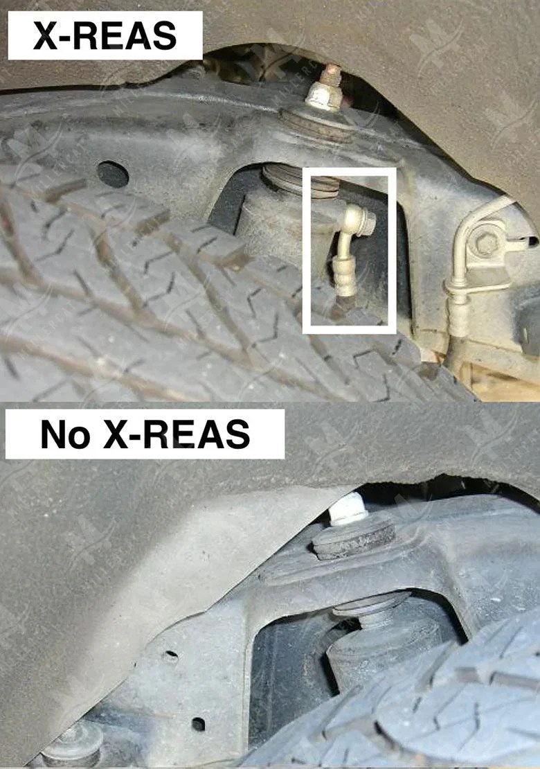 Miller CAT 20142023+ Toyota 4Runner 4.0L Cat Shield