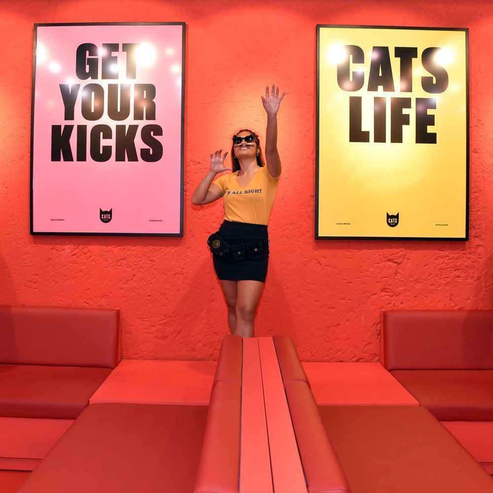 Cats Hostels Madrid Sol Cats Hostels Official Site Best in City Center