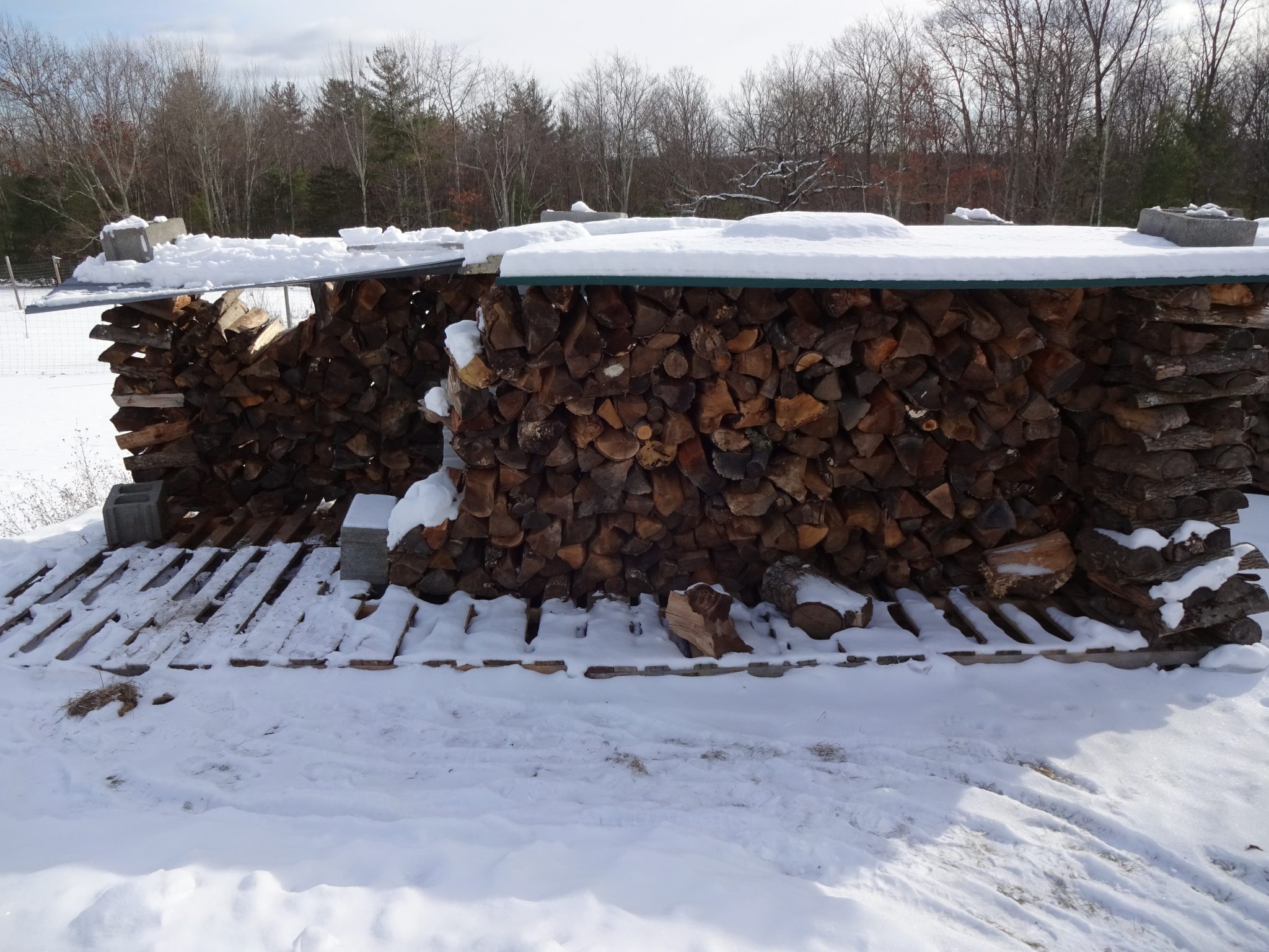 Shrinking Woodpile