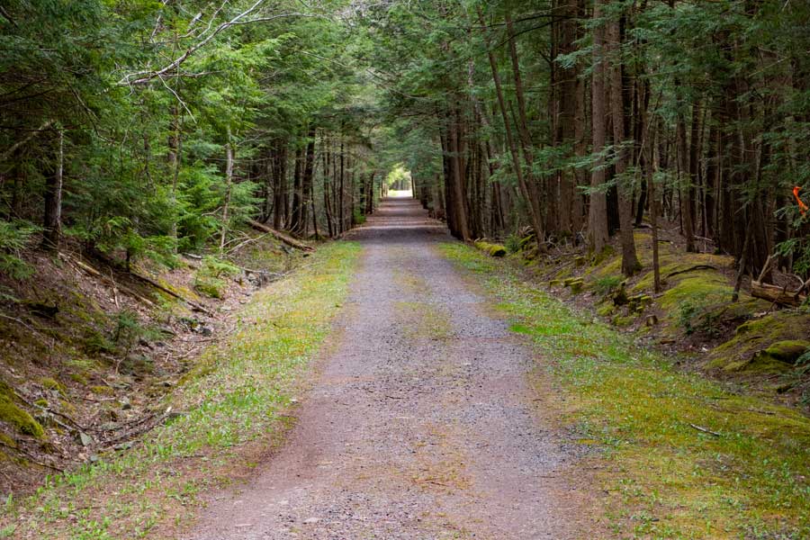 Tannersville Rail Trail Catskill Mountaineer
