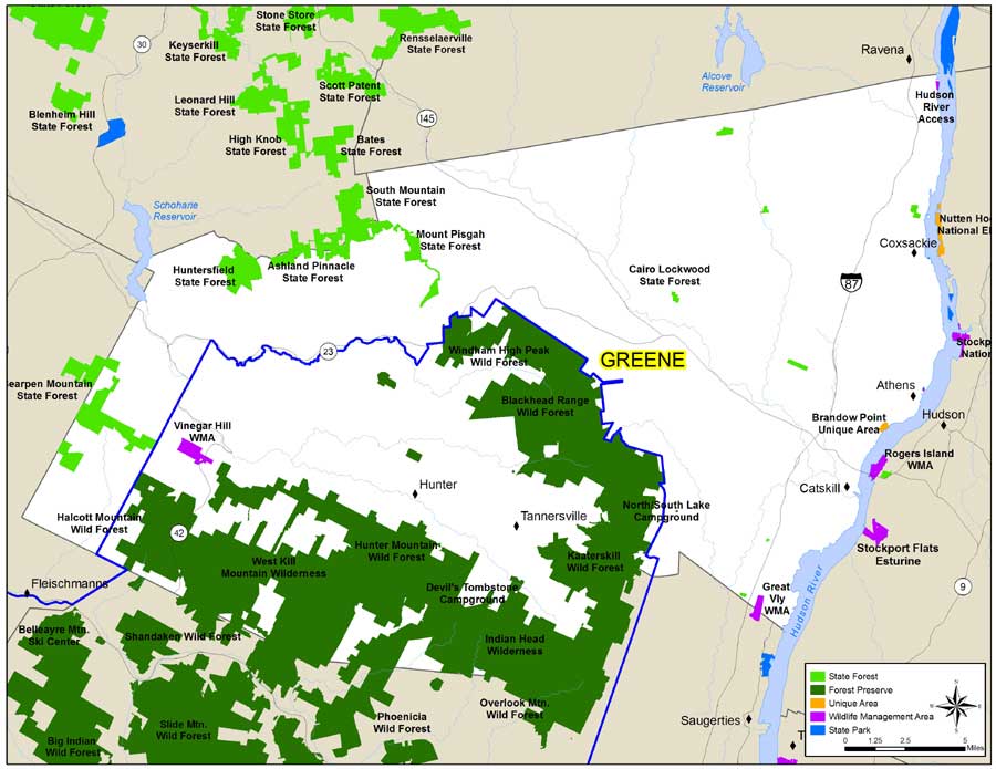 Map of New York Greene County of State Land