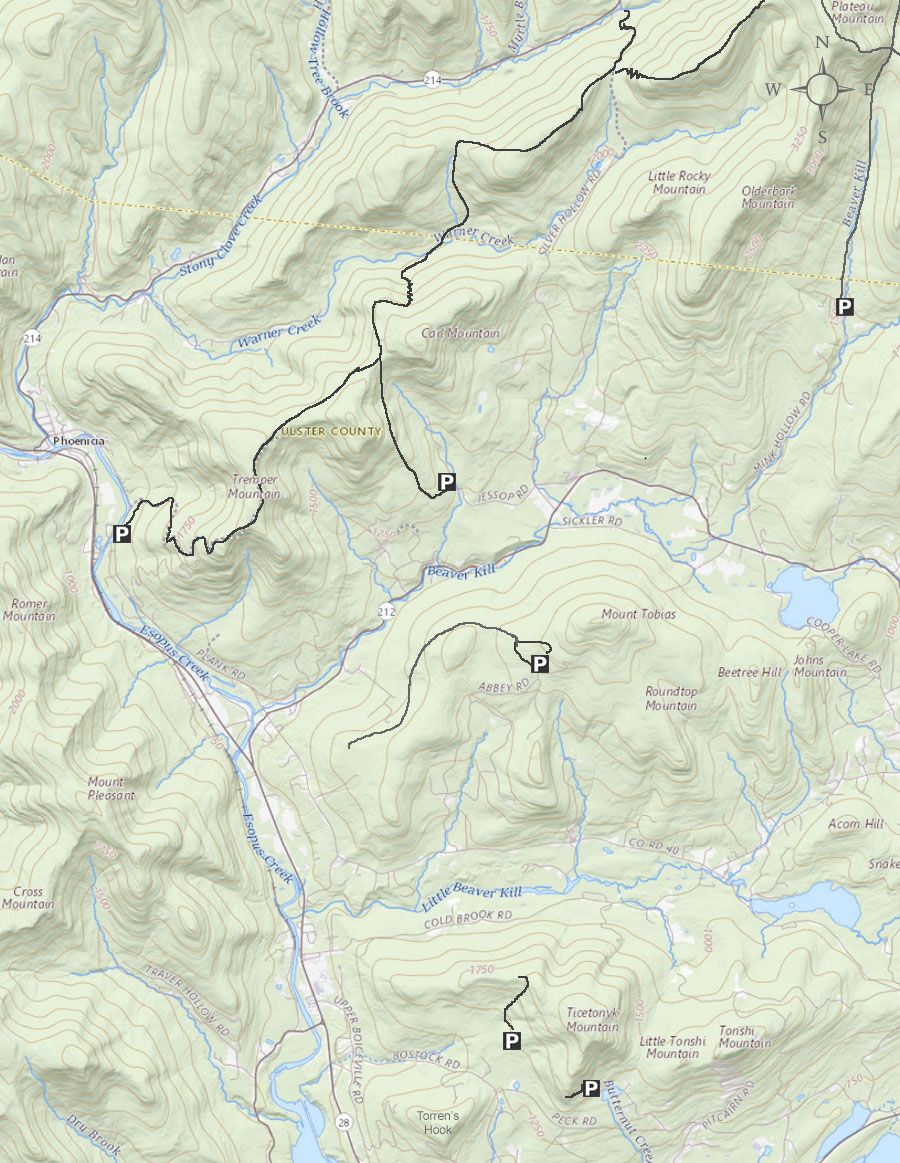 Catskill Mountains Phoenicia Mt Tobias Wild Forest