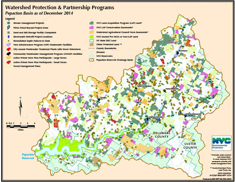 East Branch Delaware River Catskill Streams