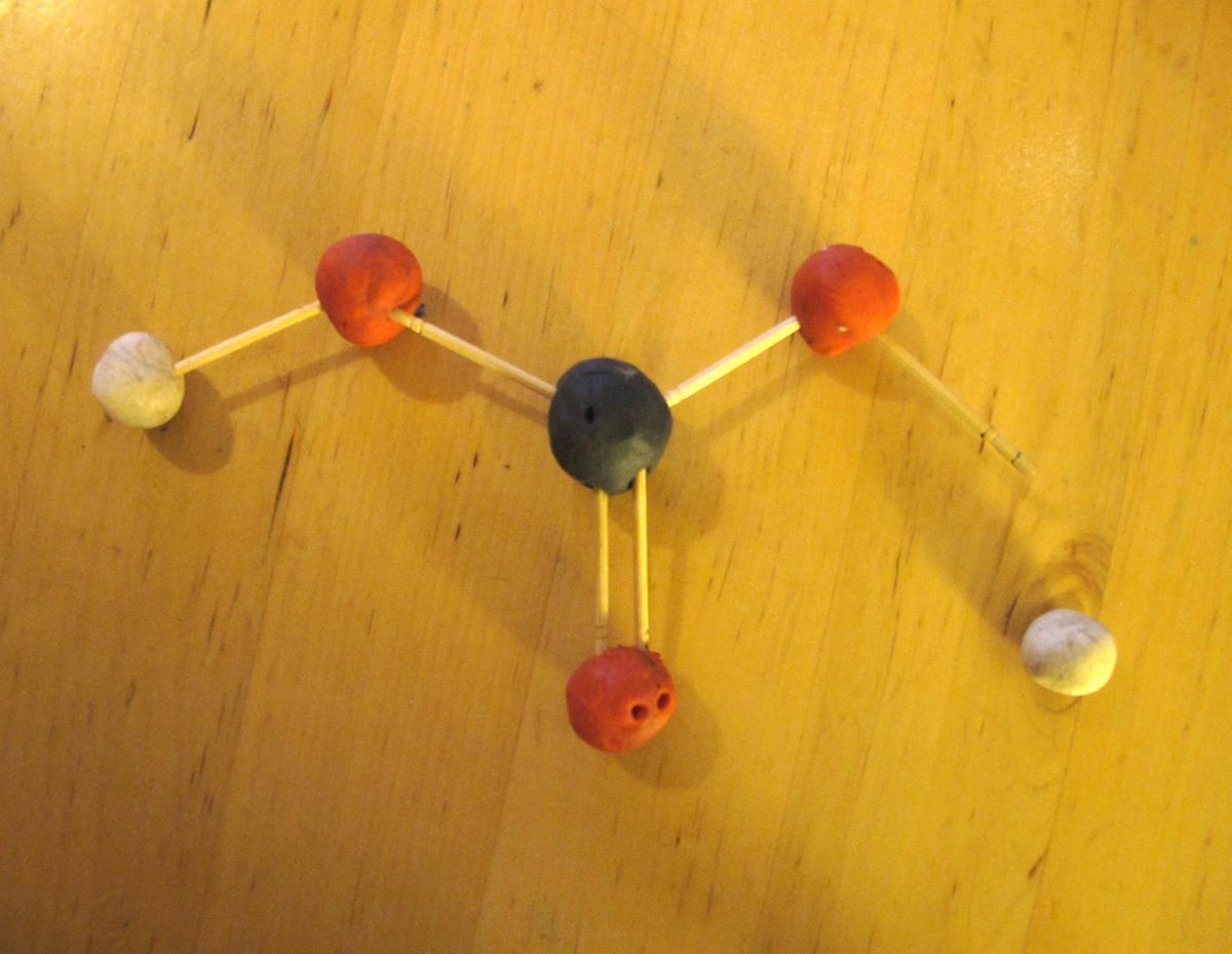 Is Baking Soda Safe For Cats? Exploring Home Remedies Cat Boarding