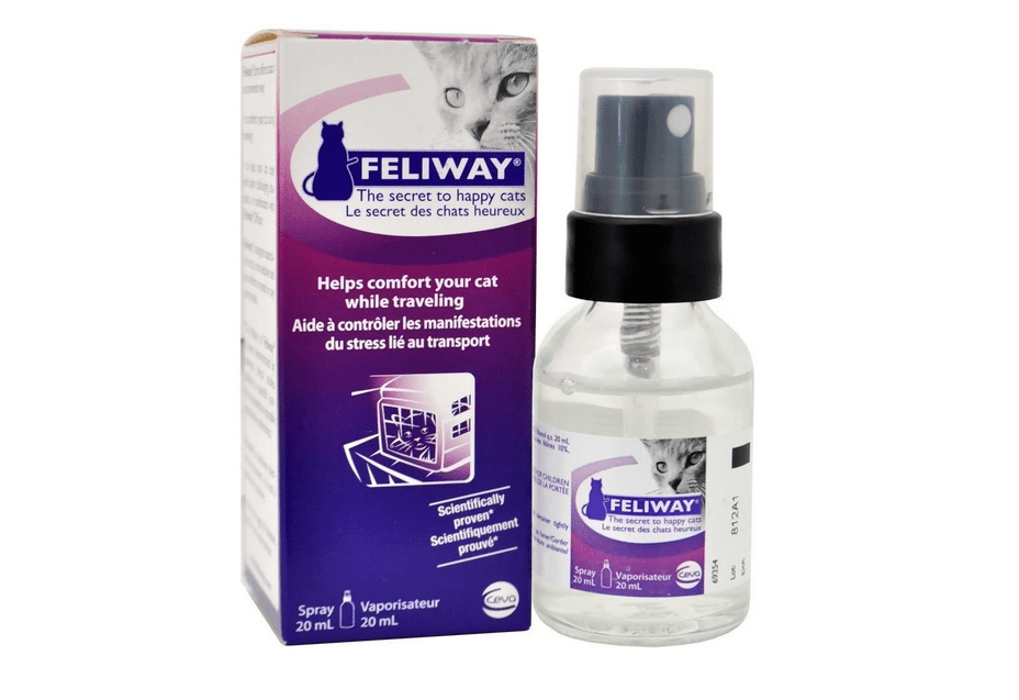 Cat Sleeping Pills Should You Give Them to Your Cat?