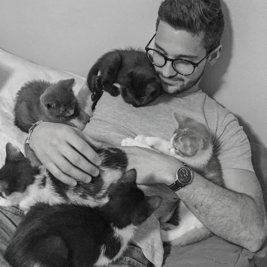 Cat Sitters Cats of Cape Town