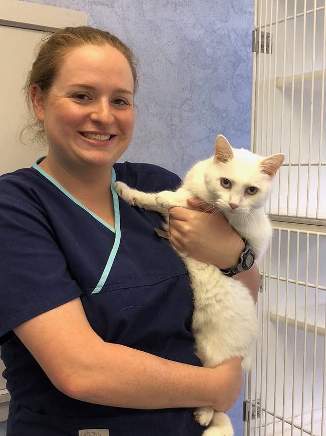 Heather_640 The Cat Hospital on Park Street St. Petersburg Florida