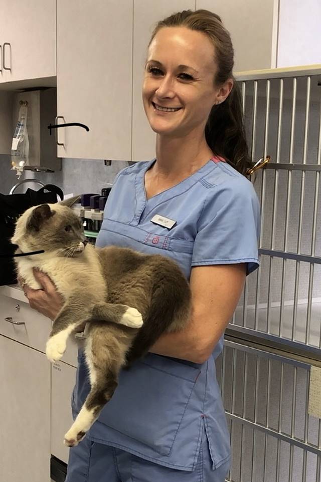 Nikki_640 The Cat Hospital on Park Street St. Petersburg Florida 33707