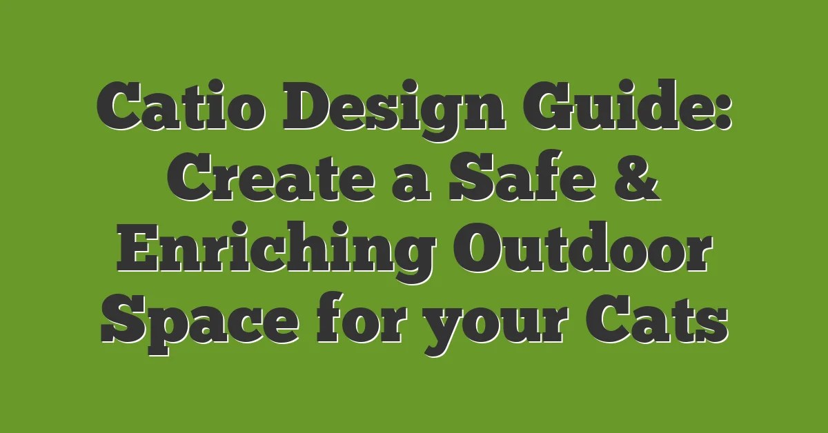 Catio Design Guide Create A Safe &amp; Enriching Outdoor Space For Your Cats