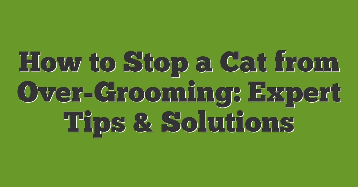 How To Stop A Cat From OverGrooming Expert Tips & Solutions
