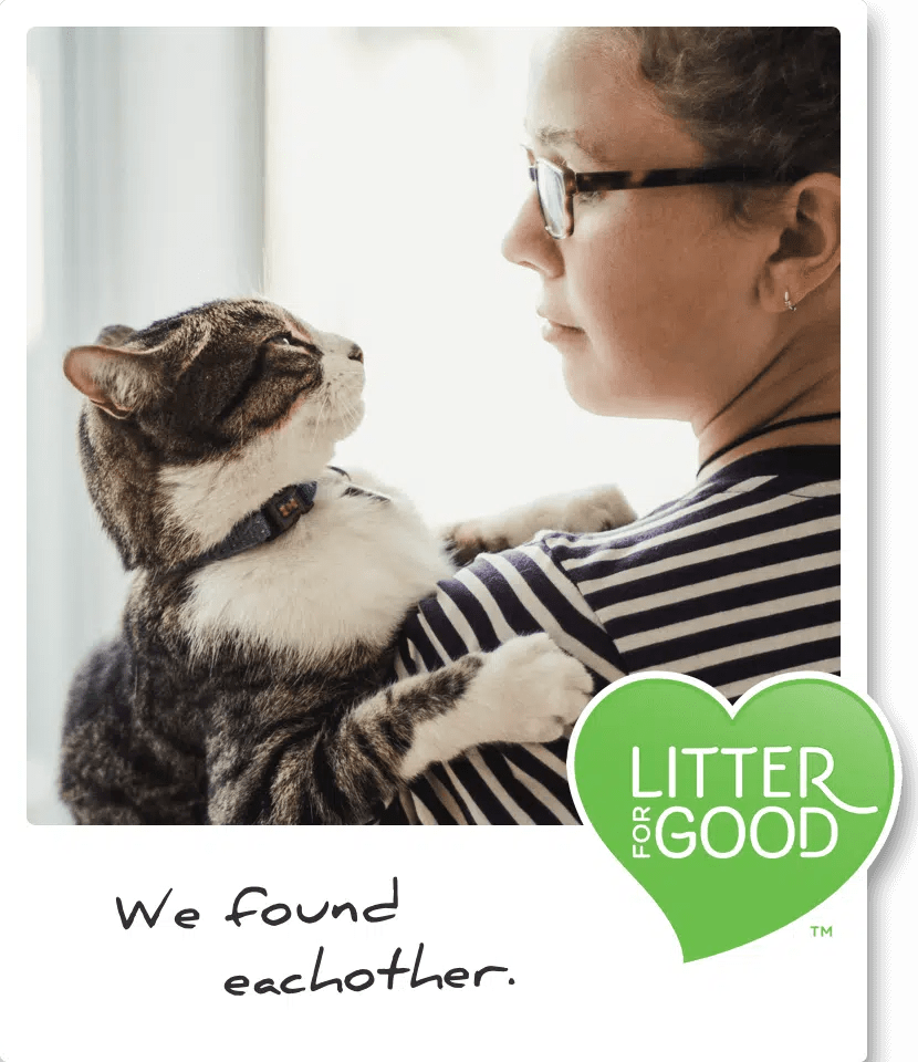 Cat Litter Cat's Pride