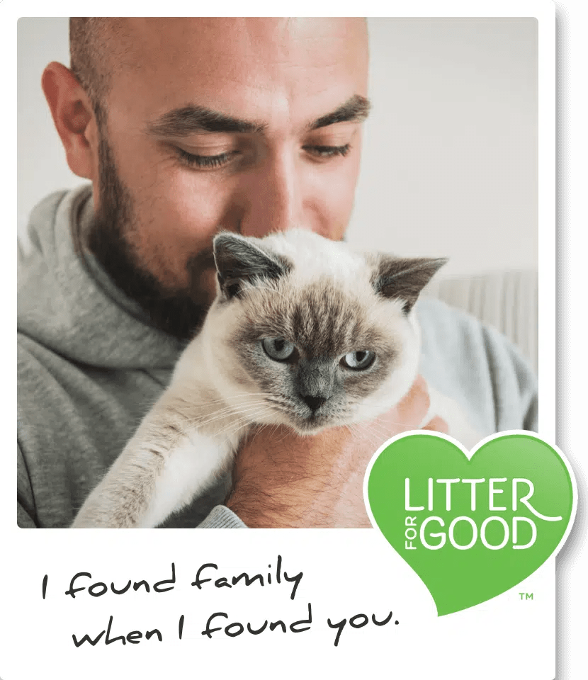 Cat Litter Cat's Pride