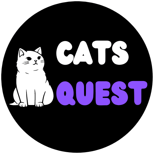 100+ Unique Roman Cat Names CatsQuest