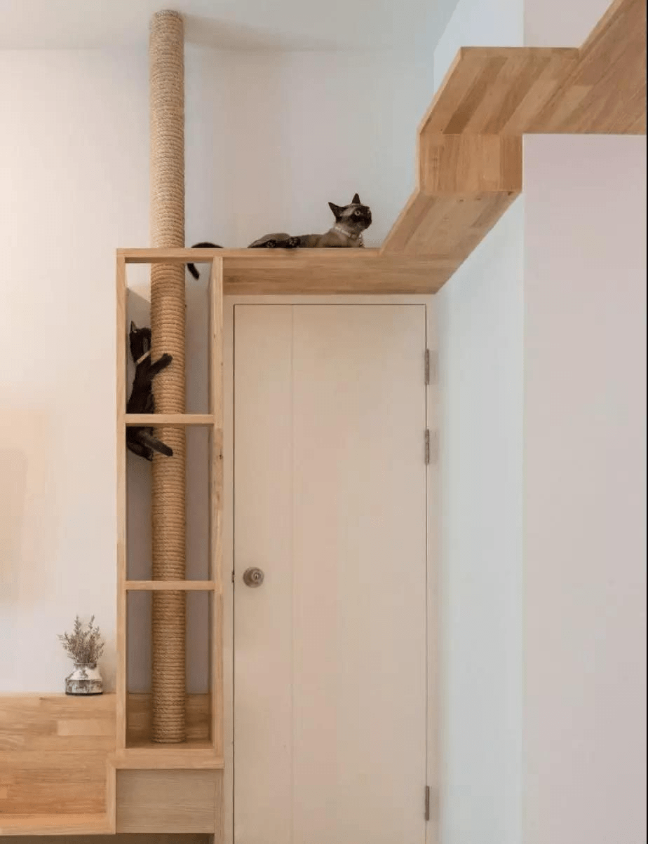 Small Cat Room Ideas Squeeze Every Inch Available! CatsQuest