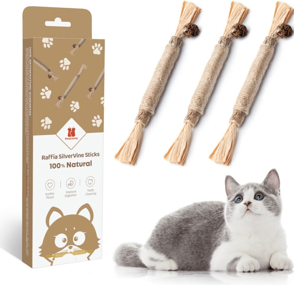 Best Toys for Deaf Cats CatsQuest