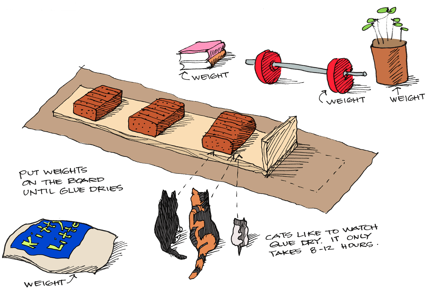 Carpet Corner Weights Review Home Co