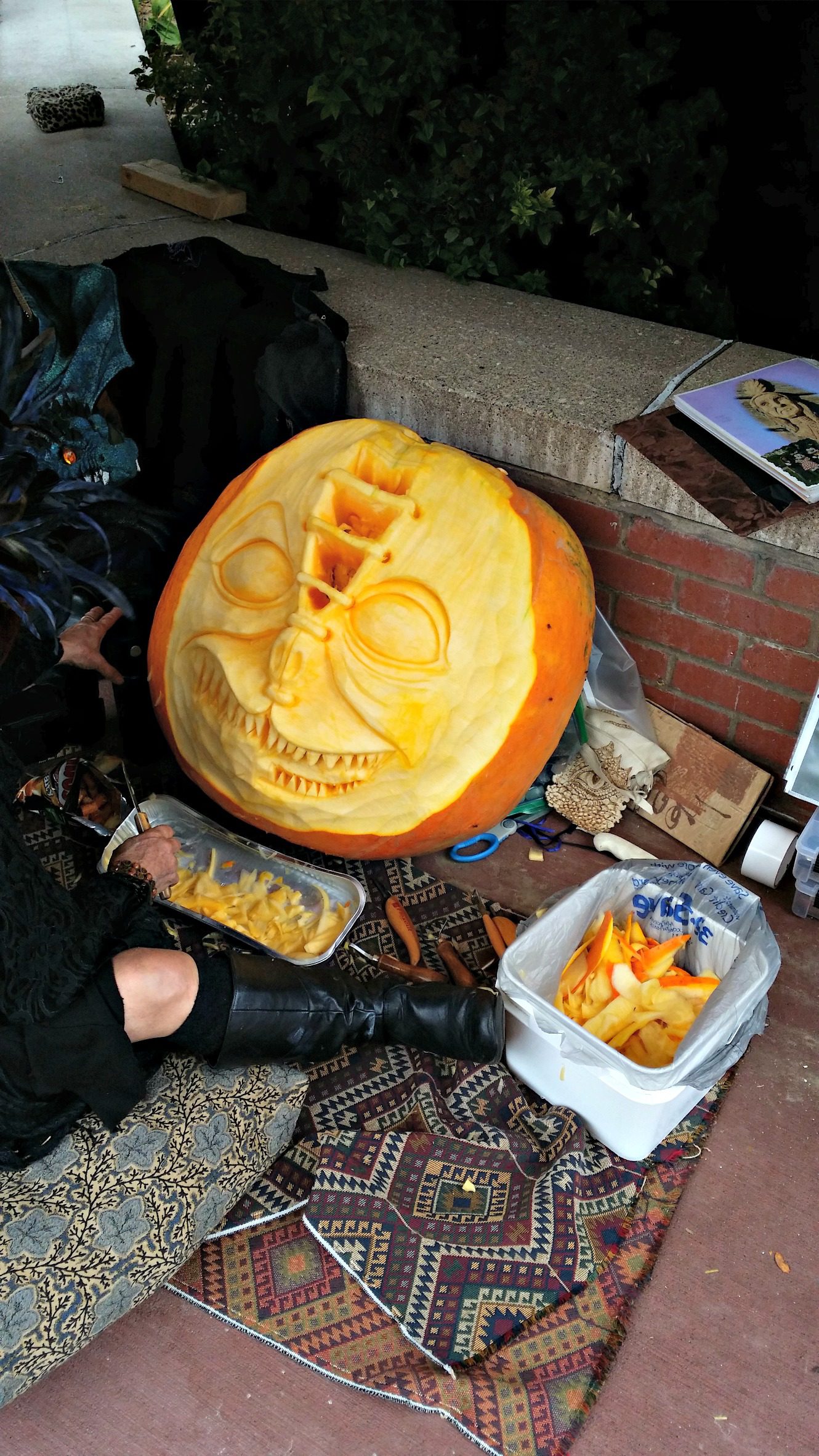 Fall Festival in Wabasha, Minnesota Cat Tales