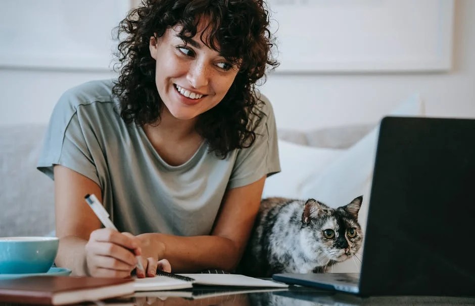 12 Tips Adjust Cat To A New Home Cattify