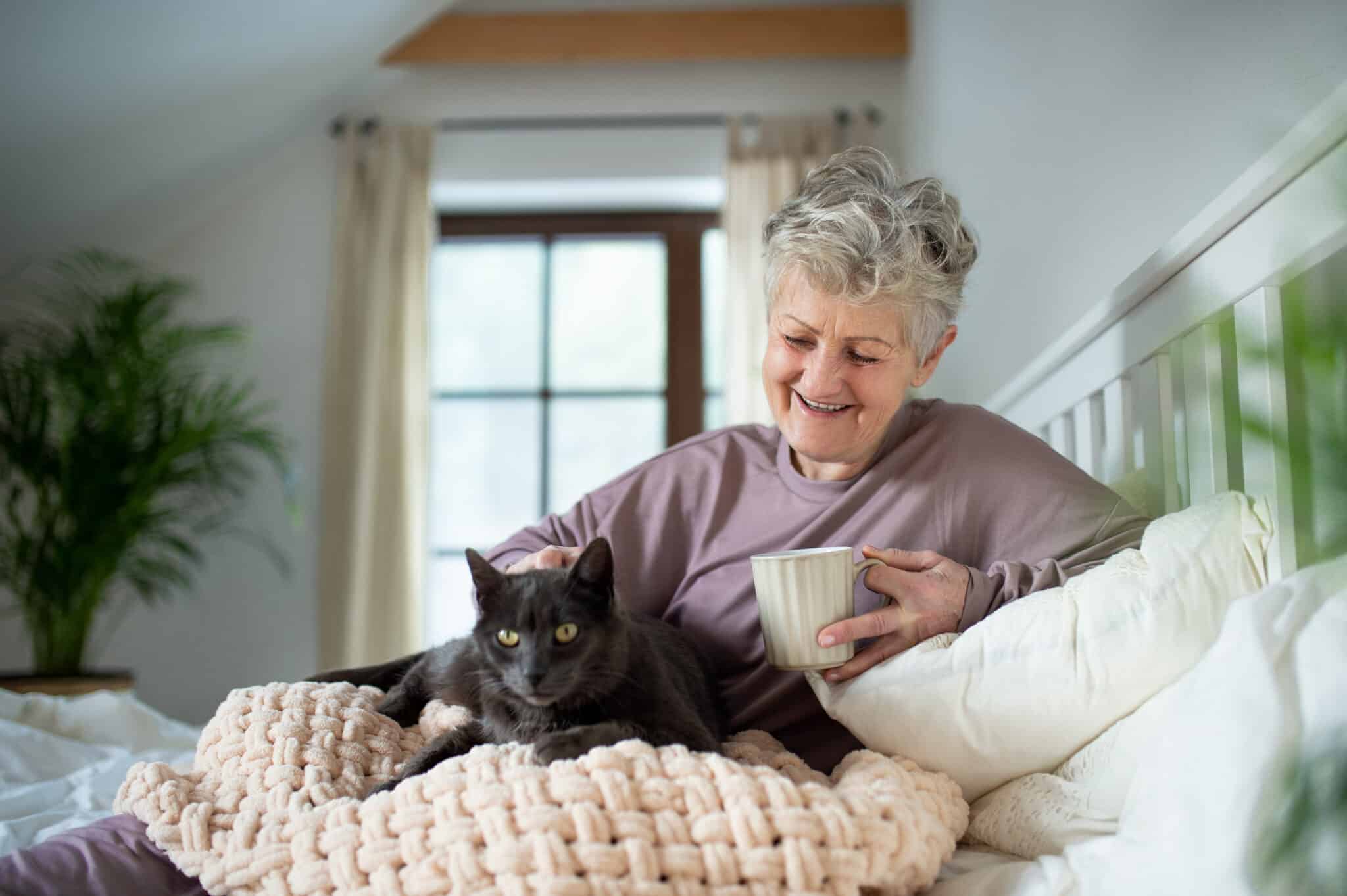 Why Is Your Senior Cat Losing Weight? Get "The Skinny"