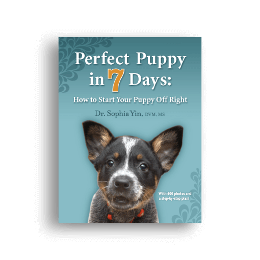 Perfect Puppy™ in 7 Days How to Start Your Puppy Off Right CattleDog Publishing