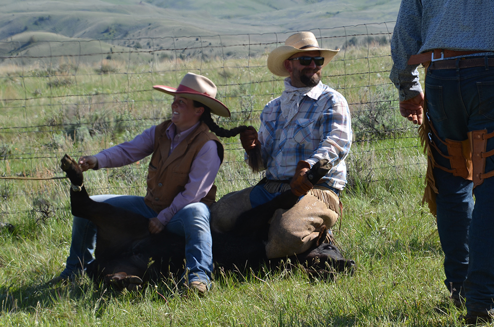 Cattle Drive Vacations in Montana Dryhead Ranch
