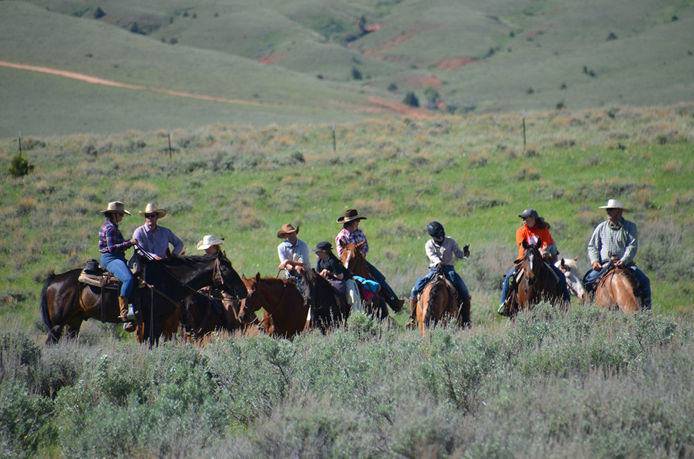 Cattle Drive Vacations Horse Drives Dryhead Ranch
