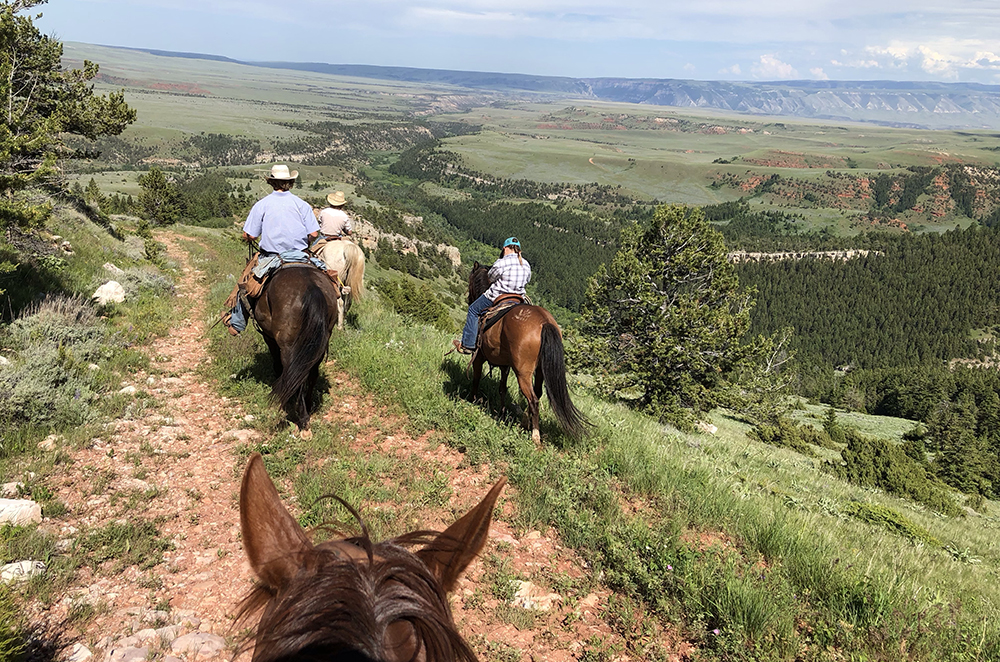 Cattle Drive Vacations in Montana Dryhead Ranch