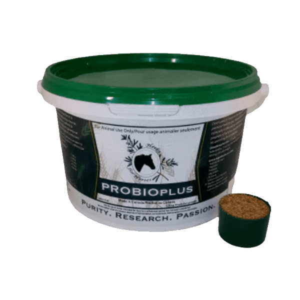 Herbs for Horses PROBIO PLUS 12KG Cattlemens Corner