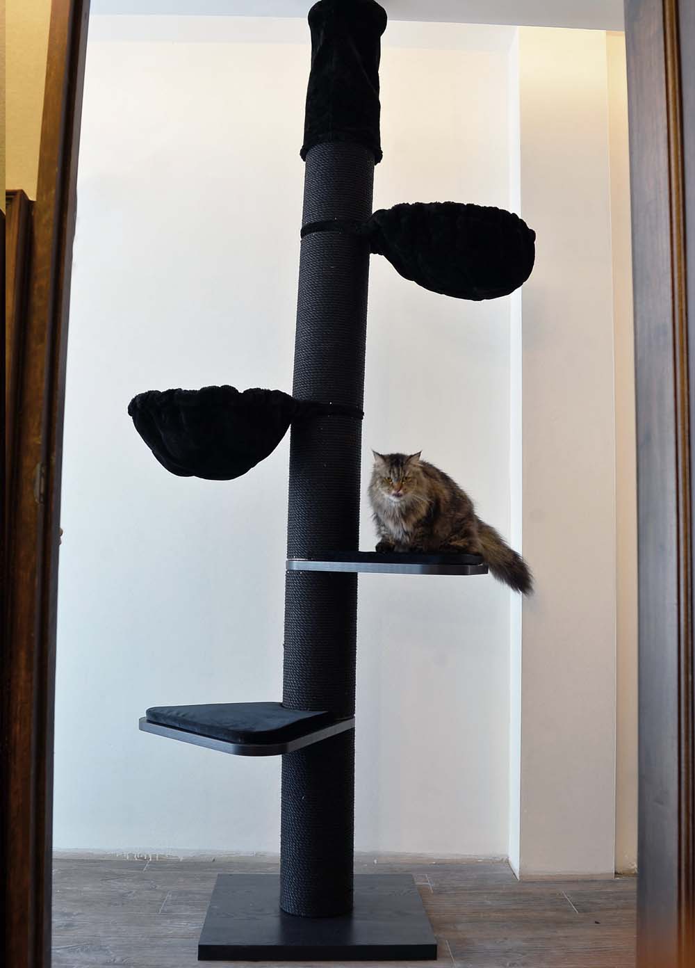 Maine Coon Tower Deluxe (Blackline) LOWEST PRICES GUARANTEED FREE