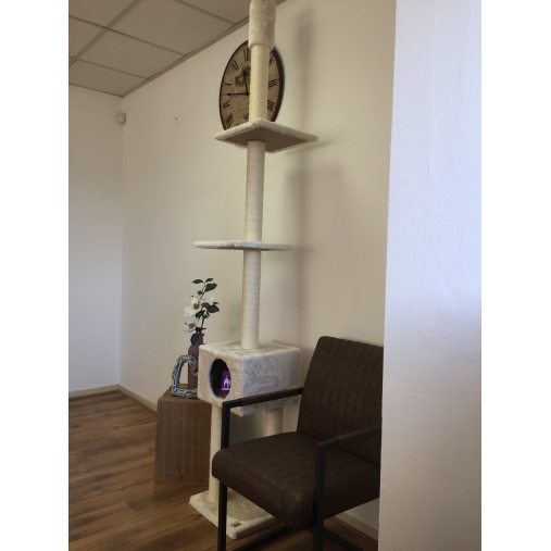 Cat Tree Phoenix 240cm LOWEST PRICES GUARANTEED FREE DELIVERY