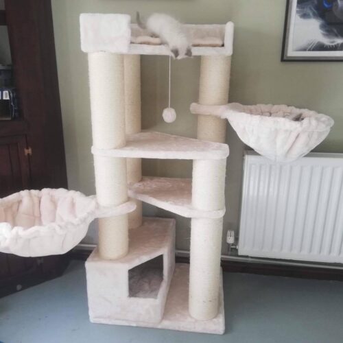 Cat Trees LOWEST PRICES GUARANTEED FREE DELIVERY