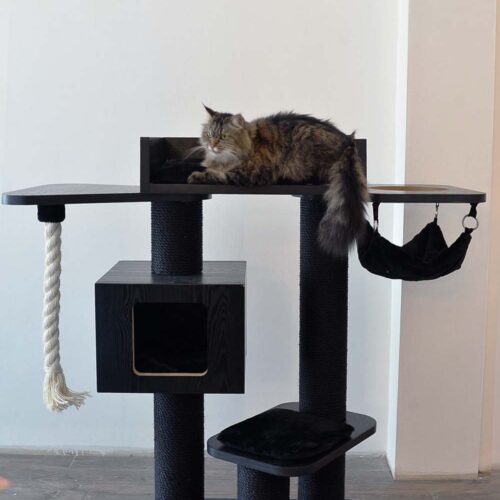 Tall Cat Scratching Posts LOWEST PRICES & FREE DELIVERY