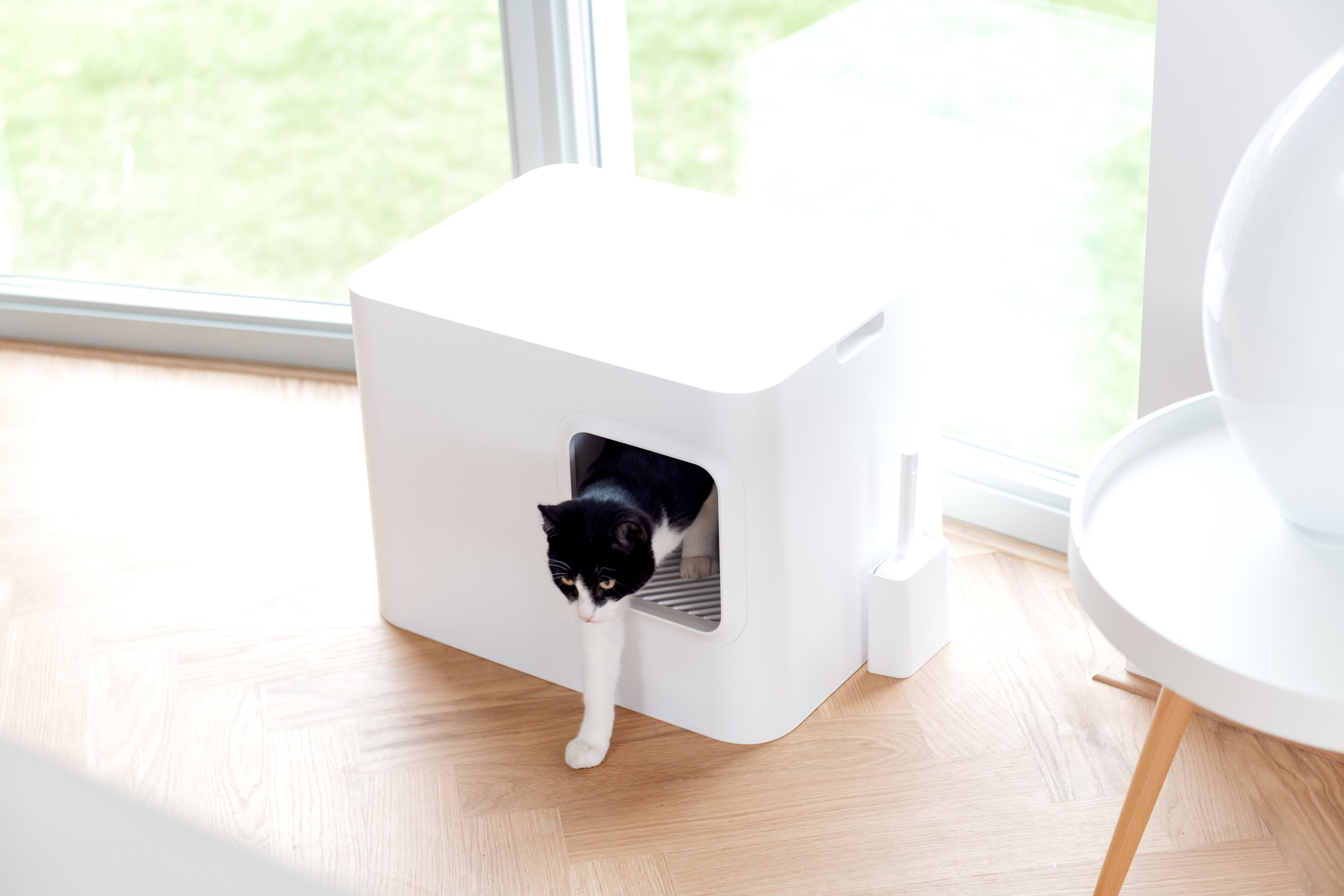 Hoopo® Dome Cat Litter Box (White) LOWEST PRICES GUARANTEED FREE