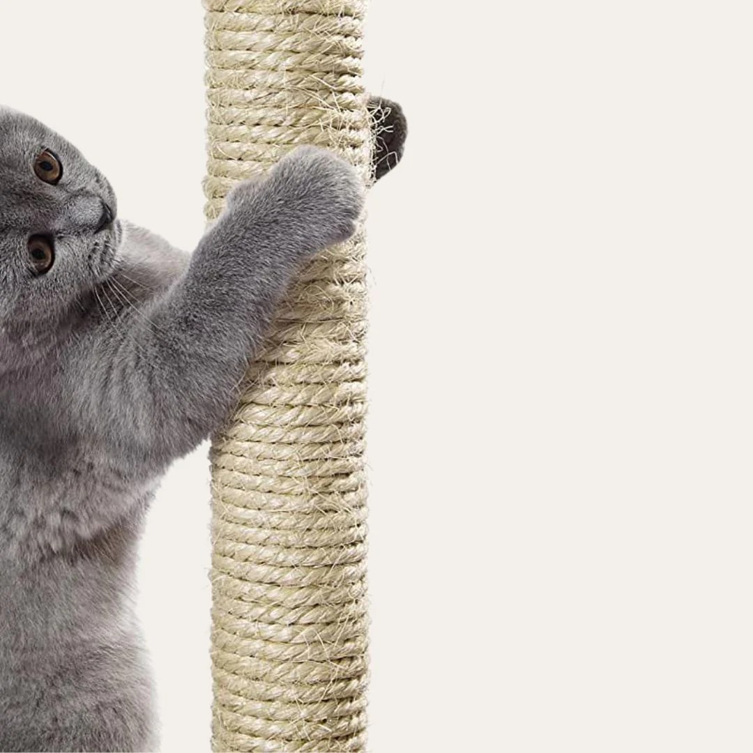 Go Pet Trixie Jump Yaheetech Tiger Tough Catry Heybly Fe